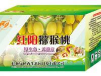 桂林綠色香生態園 山水間的生態綠洲，可持續發展的文旅新名片